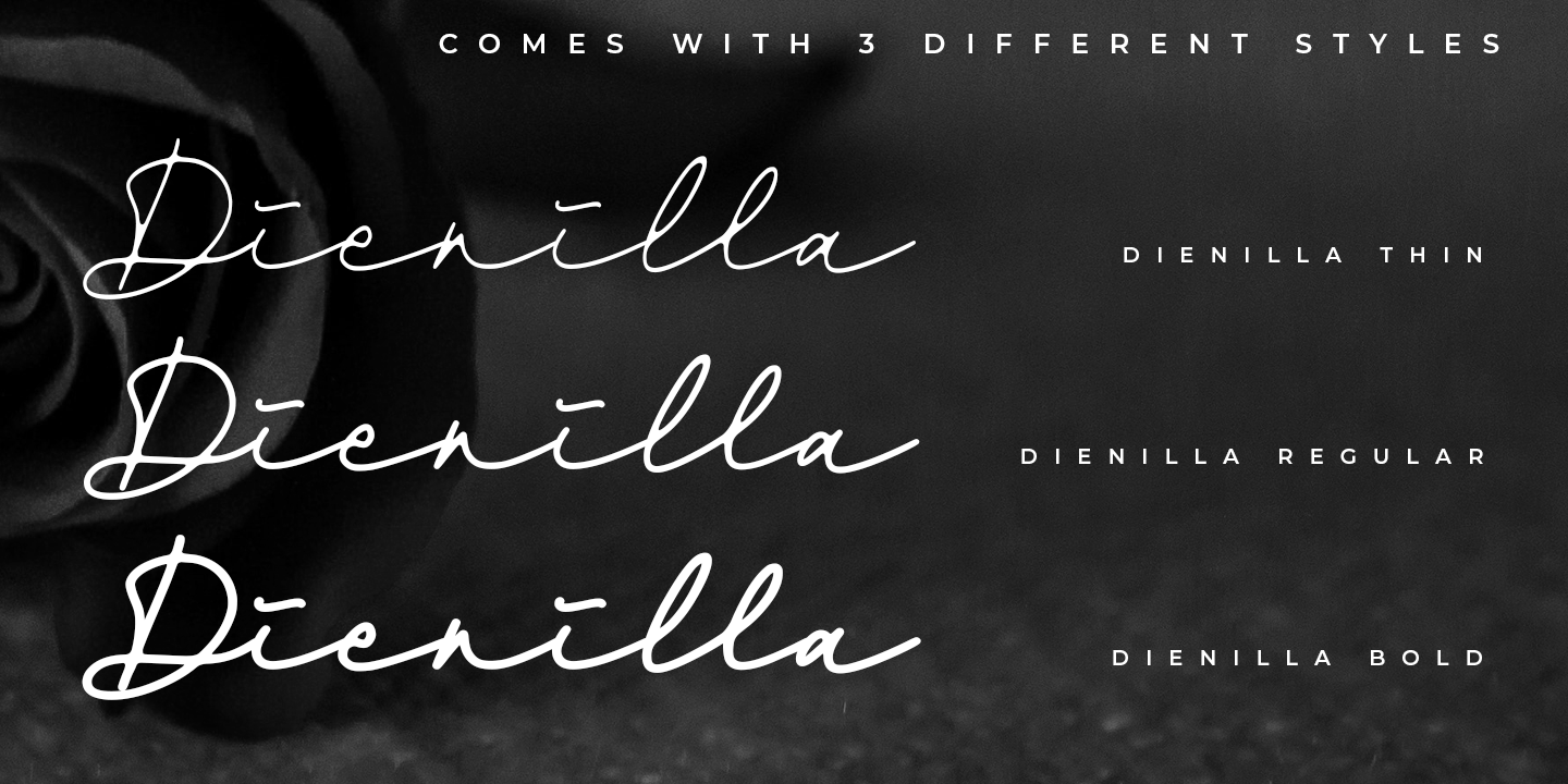 Dienilla Thin Font preview